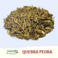 Imagem de Quebra Pedra 30g